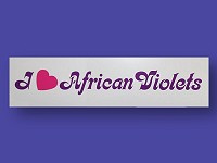 I Love African Violets Bumper Sticker